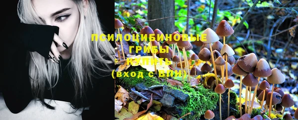 мяу мяу кристалл Бородино
