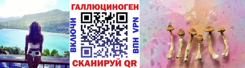 Псилоцибиновые грибы мицелий  Северск 