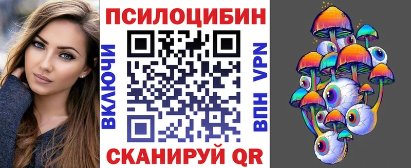 Галлюциногенные грибы Psilocybe Северск